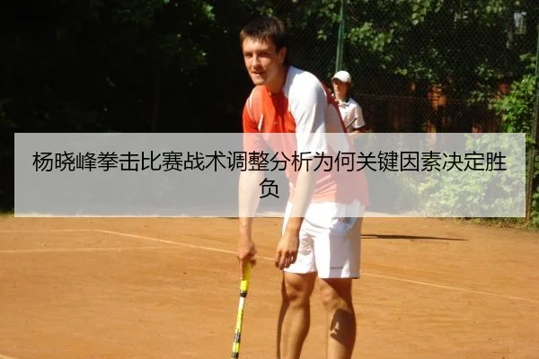 杨晓峰拳击比赛战术调整分析为何关键因素决定胜负