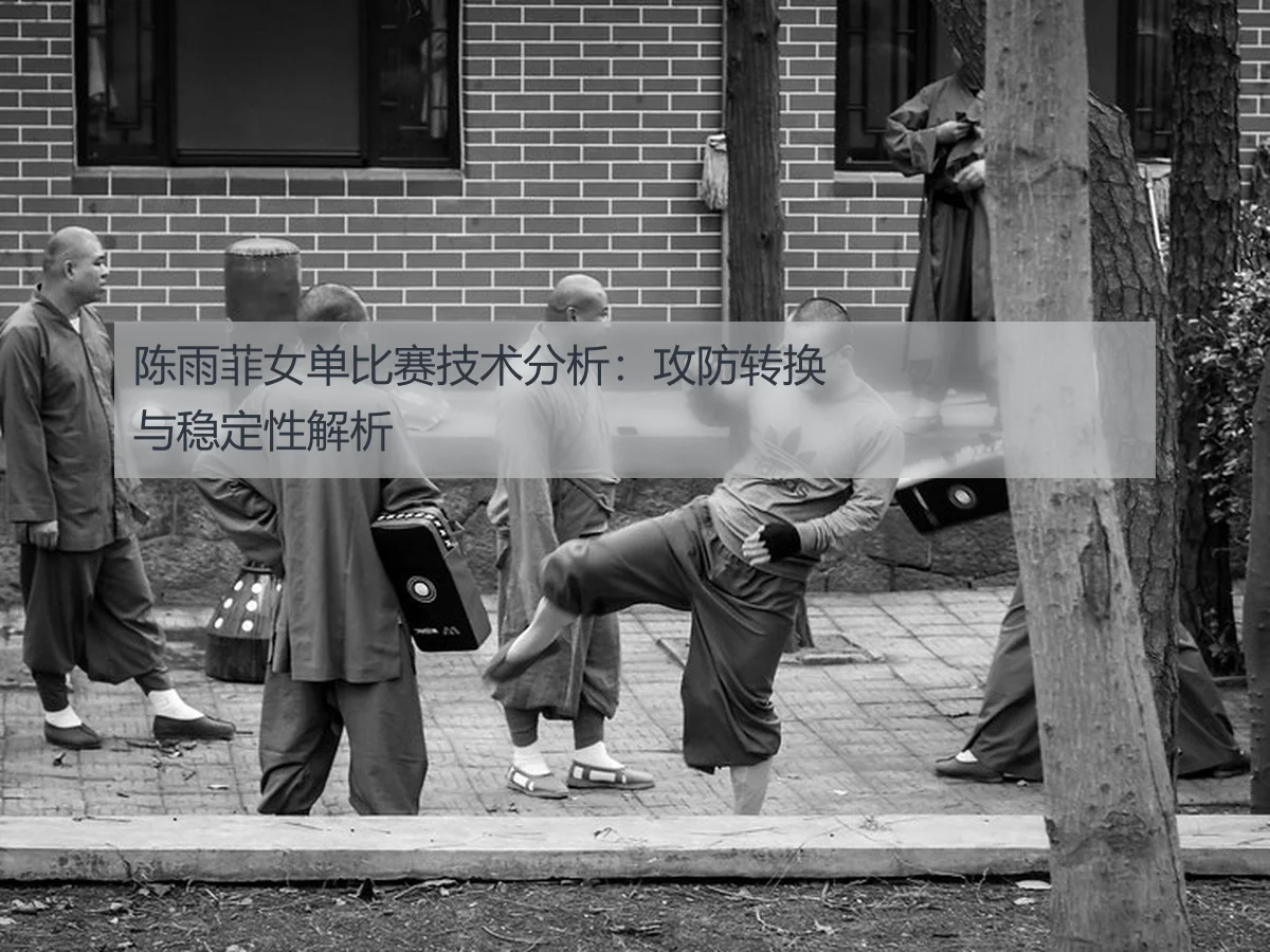 陈雨菲女单比赛技术分析:攻防转换与稳定性解析
